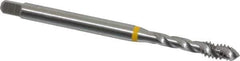 Emuge - #10-24 UNC 3 Flute 2B Modified Bottoming Spiral Flute Tap - Cobalt, Bright Finish, 2.756" OAL, Right Hand Flute, Right Hand Thread, Series Enorm - Exact Industrial Supply