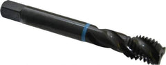 Emuge - 5/8-11 UNC 3 Flute 2B Modified Bottoming Spiral Flute Tap - Cobalt, Oxide Finish, 4.331" OAL, Right Hand Flute, Right Hand Thread, Series Enorm-VA - Eagle Tool & Supply