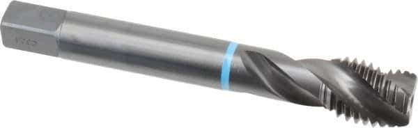 Emuge - 3/4-10 UNC 3 Flute 2B Modified Bottoming Spiral Flute Tap - Cobalt, Oxide Finish, 4.921" OAL, Right Hand Flute, Right Hand Thread, Series Enorm-VA - Eagle Tool & Supply