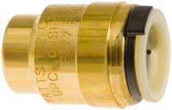 Watts - 3/4" Outside Diam, Lead Free Brass Push-to-Connect Tube End Stop - 250 Max psi, Tube Connection, EPDM O-Ring, Lead-Free - Eagle Tool & Supply
