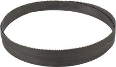 Irwin Blades - 10 to 14 TPI, 5' 4" Long x 1/2" Wide x 0.025" Thick, Welded Band Saw Blade - Bi-Metal, Toothed Edge - Eagle Tool & Supply