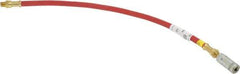 Alemite - 18" Long, 4,800 psi Operating Pressure, Grease Gun Hose & Coupler Assembly - 1/8 NPTF - Eagle Tool & Supply