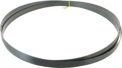 Starrett - 6 TPI, 14' Long x 1" Wide x 0.035" Thick, Welded Band Saw Blade - Carbon Steel, Toothed Edge, Raker Tooth Set, Flexible Back, Contour Cutting - Eagle Tool & Supply