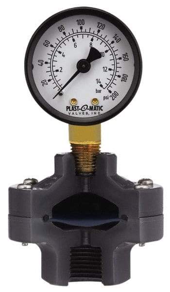 Plast-O-Matic - 30 Max Hg 2 Inch Dial Diameter, PVC Pressure Gauge Guard and Isolator - 3% Accuracy - Eagle Tool & Supply