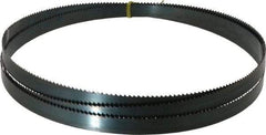 Starrett - 6 TPI, 9' Long x 3/4" Wide x 0.032" Thick, Welded Band Saw Blade - Carbon Steel, Toothed Edge, Raker Tooth Set, Flexible Back, Contour Cutting - Eagle Tool & Supply