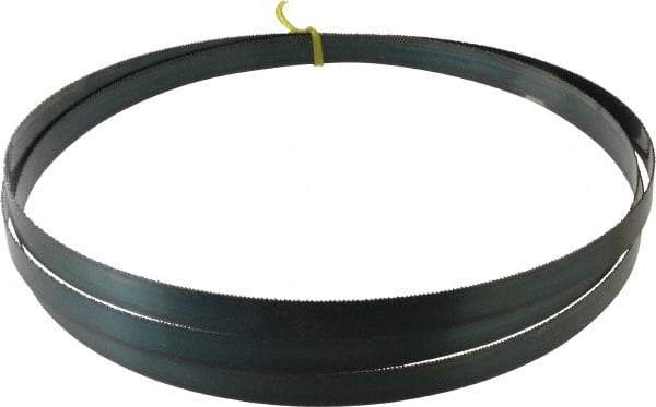 Starrett - 14 TPI, 9' 6" Long x 3/4" Wide x 0.032" Thick, Welded Band Saw Blade - Carbon Steel, Toothed Edge, Raker Tooth Set, Flexible Back, Contour Cutting - Eagle Tool & Supply