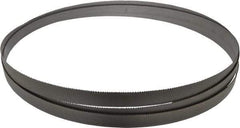 Starrett - 10 to 14 TPI, 10' 10-1/2" Long x 3/4" Wide x 0.035" Thick, Welded Band Saw Blade - Bi-Metal, Toothed Edge, Raker Tooth Set, Contour Cutting - Eagle Tool & Supply