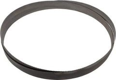 Starrett - 10 to 14 TPI, 12' Long x 1" Wide x 0.035" Thick, Welded Band Saw Blade - Bi-Metal, Toothed Edge, Raker Tooth Set, Contour Cutting - Eagle Tool & Supply