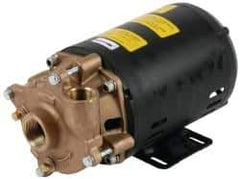 Pentair - 208-230/460 Volt, 3/4 hp, 1-1/4 Inlet, 72 GPM Bronze Utility Pump - 55 Max Head Pressure, 1 Inch Outlet - Eagle Tool & Supply