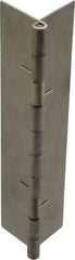 Value Collection - 5" Long x 2" Wide x 0.05" Thick, Spring Hinge - Stainless Steel - Eagle Tool & Supply