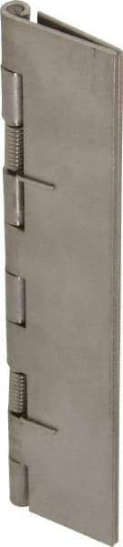 Value Collection - 5" Long x 2" Wide x 0.05" Thick, Spring Hinge - Stainless Steel - Eagle Tool & Supply