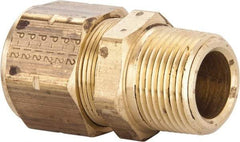 Parker - 3/4" OD, Brass Male Connector - 100 Max Working psi, 1-3/16" Hex, Comp x MNPT Ends - Eagle Tool & Supply