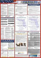NMC - 24" Wide x 40" High Laminated Paper Labor Law Information Poster - Florida Jurisdiction, 0.03" Thick, Spanish - Eagle Tool & Supply
