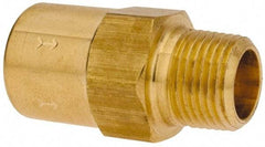 Specialty Mfr - 3/8" Brass Check Valve - Inline, FNPT x MNPT, 500 WOG - Eagle Tool & Supply