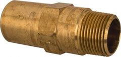 Specialty Mfr - 3/4" Brass Check Valve - Inline, FNPT x MNPT, 500 WOG - Eagle Tool & Supply