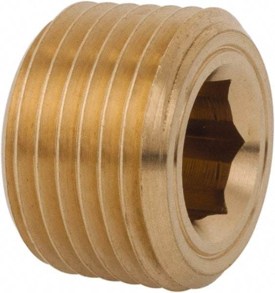 Legris - 1/2 Male Thread, Brass Industrial Pipe Hollow Hex Plug - MBSPT, 3,626 psi - Eagle Tool & Supply