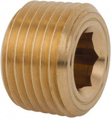 Legris - 1/2 Male Thread, Brass Industrial Pipe Hollow Hex Plug - MBSPT, 3,626 psi - Eagle Tool & Supply