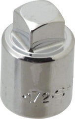 SK - 1/2" Drive, 1/2" Socket, Male Pipe Plug Socket - 4 Points, 1-3/8" OAL - Eagle Tool & Supply