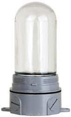 Cooper Crouse-Hinds - 120 Volt, 100 Watt, Incandescent Hazardous Location Light Fixture - Vaporproof, Corrosion & Heat Resistant, Aluminum Housing, 3-3/8" Wide x 8-1/2" High - Eagle Tool & Supply