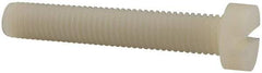 Made in USA - M10x1.50 Metric Coarse, 60mm Length Under Head Slotted Drive Machine Screw - Cheese Head, Grade 6/6 Nylon, Uncoated, Without Washer - Eagle Tool & Supply