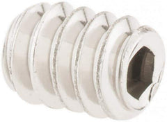 Value Collection - #6-32 UNC, 3/16" OAL, Cup Point Set Screw - Grade 18-8 Stainless Steel, 1/16" Key - Eagle Tool & Supply