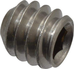Value Collection - 1/4-20 UNC, 1/4" OAL, Cup Point Set Screw - Grade 18-8 Stainless Steel, 1/8" Key - Eagle Tool & Supply