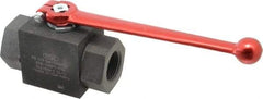HYDAC - 1" Pipe, Carbon Steel Standard Ball Valve - 1 Piece, FNPT x FNPT Ends, Lever Handle, 6,000 WOG - Eagle Tool & Supply