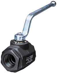 HYDAC - 2" Pipe, Carbon Steel Standard Ball Valve - 1 Piece, SAE x SAE Ends, Lever Handle, 5,000 WOG - Eagle Tool & Supply