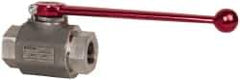HYDAC - 3/4" Pipe, Stainless Steel Standard Ball Valve - 1 Piece, FNPT x FNPT Ends, Lever Handle, 5,000 WOG - Eagle Tool & Supply