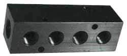 Made in USA - 1/4" Inlet, 1/8" Outlet Manifold - 12-1/4" Long x 1" Wide x 1" High, 0.17" Mount Hole, 2 Inlet Ports, 8 Outlet Ports - Eagle Tool & Supply