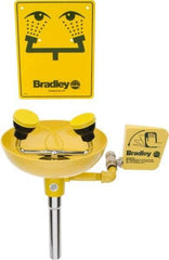 Bradley - Wall Mount, Plastic Bowl, Eye & Face Wash Station - 1/2" Inlet, 30 to 90 psi Flow, 3 GPM Flow Rate - Eagle Tool & Supply