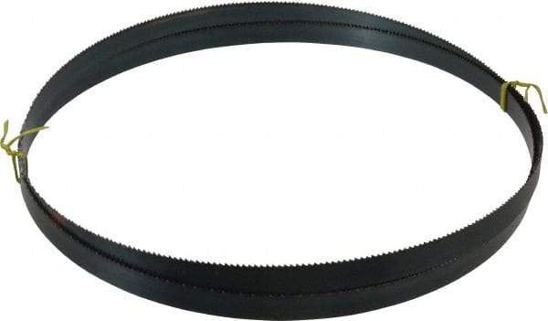 Starrett - 8 TPI, 10' 5" Long x 3/4" Wide x 0.032" Thick, Welded Band Saw Blade - Carbon Steel, Toothed Edge, Raker Tooth Set, Flexible Back, Contour Cutting - Eagle Tool & Supply