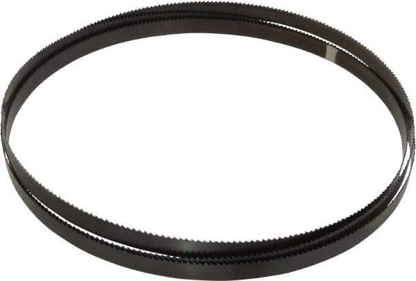 Starrett - 6 TPI, 10' 10-1/2" Long x 3/4" Wide x 0.032" Thick, Welded Band Saw Blade - Carbon Steel, Toothed Edge, Raker Tooth Set, Flexible Back, Contour Cutting - Eagle Tool & Supply
