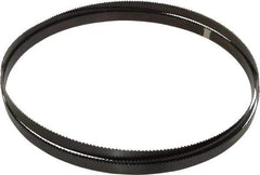 Starrett - 6 TPI, 10' 10-1/2" Long x 3/4" Wide x 0.032" Thick, Welded Band Saw Blade - Carbon Steel, Toothed Edge, Raker Tooth Set, Flexible Back, Contour Cutting - Eagle Tool & Supply