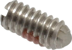 Gibraltar - 5-40, 0.062" Ball Diam, 0.25" Body Length, 0.02" Max Ball Reach, Threaded Ball Plunger - Stainless Steel Body, Nylon Ball, 0.25 Lb Initial End Force, 0.75 Lb Final End Force, Locking Element - Eagle Tool & Supply
