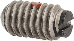 Gibraltar - 5/16-18, 0.156" Ball Diam, 0.578" Body Length, 0.04" Max Ball Reach, Threaded Ball Plunger - Stainless Steel Body, Nylon Ball, 4 Lb Initial End Force, 9 Lb Final End Force, Locking Element - Eagle Tool & Supply