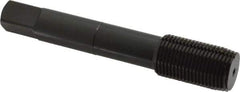 OSG - 3/4-16 UNF H7 Thread Limit Plug Thread Forming Tap - Cobalt, Oxide Finish, 4-1/4" OAL, 2" Thread Length, Right Hand Thread, Series HY-PRO NRT - Eagle Tool & Supply