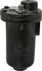 Hoffman Speciality - 3/4" NPT Inlet, 1/2" NPT Outlet, 250 Max psi, Cast Iron Water Vent - 350 Max Hydrostatic psi, 300°F Max - Eagle Tool & Supply