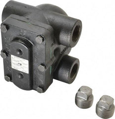 Hoffman Speciality - 1 Female" Pipe, Cast Iron Float & Thermostatic Steam Trap - 15 Max psi - Eagle Tool & Supply