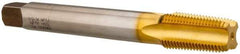 Hertel - 1/2-14 NPT, 4 Flute, Plug Chamfer, TiN Finish, High Speed Steel, Extension Pipe Tap - 6" OAL, 11/16" Shank Diam, 1-3/8" Thread Length - Eagle Tool & Supply