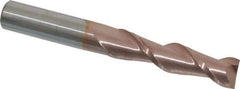 Accupro - 1/2", 2" LOC, 1/2" Shank Diam, 4" OAL, 2 Flute, Solid Carbide Square End Mill - Single End, TiCN Finish, Spiral Flute, 40° Helix, Centercutting, Right Hand Cut, Right Hand Flute - Eagle Tool & Supply