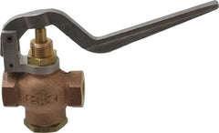Kingston - 1/4" Pipe, 400 Max psi, Buna N Disc, Self Closing Control Valve - Squeeze Lever, FNPT x FNPT End Connections - Eagle Tool & Supply