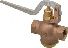 Kingston - 1/2" Pipe, 400 Max psi, Buna N Disc, Self Closing Control Valve - Squeeze Lever, FNPT x FNPT End Connections - Eagle Tool & Supply