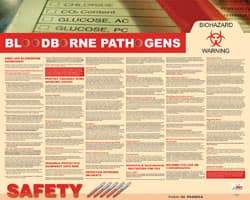 NMC - 30" Wide x 24" High Laminated Paper Bloodborne Pathogens Information Poster - English - Eagle Tool & Supply