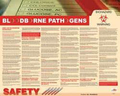 NMC - 30" Wide x 24" High Laminated Paper Bloodborne Pathogens Information Poster - English - Eagle Tool & Supply