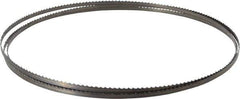 Starrett - 6 TPI, 7' 9" Long x 1/4" Wide x 0.025" Thick, Welded Band Saw Blade - Carbon Steel, Toothed Edge, Raker Tooth Set, Flexible Back, Contour Cutting - Eagle Tool & Supply