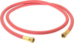 Coilhose Pneumatics - Paint Sprayer Hose with Fittings - Fixture, Compatible with Paint Sprayers - Eagle Tool & Supply