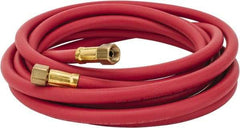 Coilhose Pneumatics - Paint Sprayer Hose with Fittings - Eagle Tool & Supply