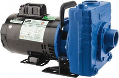 American Machine & Tool - 115/230 Volt, 1 Phase, 3/4 HP, Self Priming Centrifugal Pump - 1-1/2 Inch Inlet, 78 Head Pressure, Cast Iron Housing and Impeller - Eagle Tool & Supply