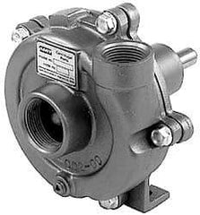 American Machine & Tool - 1-1/4 Inch Inlet, 1 Inch Outlet, Stainless Steel, Pedestal Mount Pump - O Ring Casing Seal - Eagle Tool & Supply